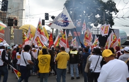 manifestaes_2_20150529_1660201760